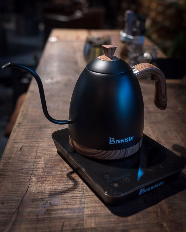 Wasserkocher Elektrisch - Brewista Artisan Brühkessel 0,9 L - Matte Black